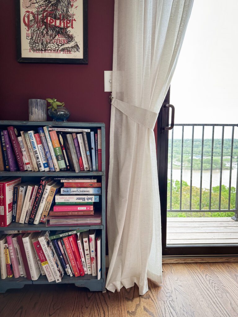 A blue bookshelf, overflowing with books, against a red painted wall overlooking a view of the Ohio River