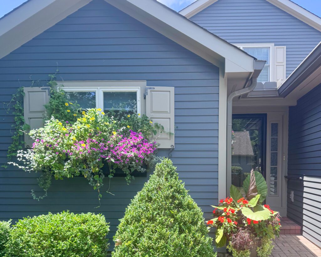 A photo of the window box I build my mom with the summer plants thriving inside of it.